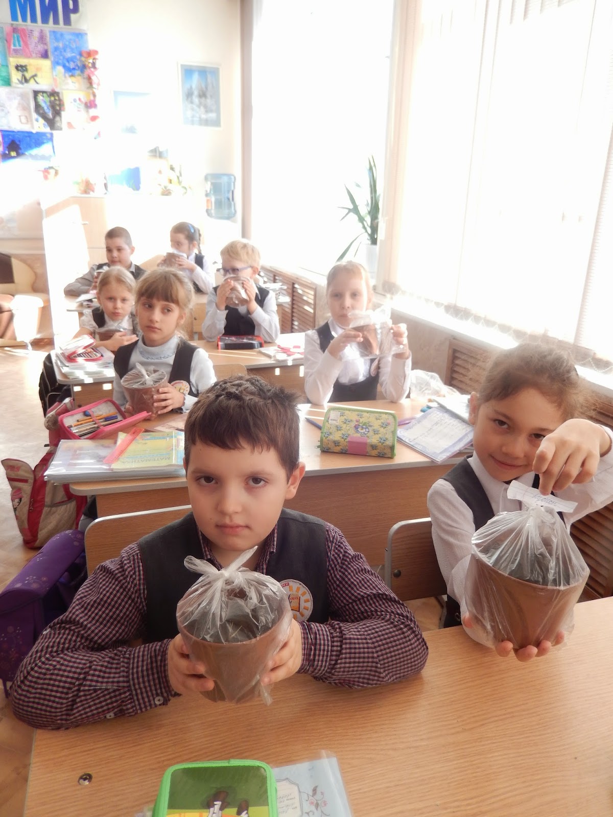 О чем мечтает зернышко. Смотреть фото О чем мечтает зернышко. Смотреть картинку О чем мечтает зернышко. Картинка про О чем мечтает зернышко. Фото О чем мечтает зернышко