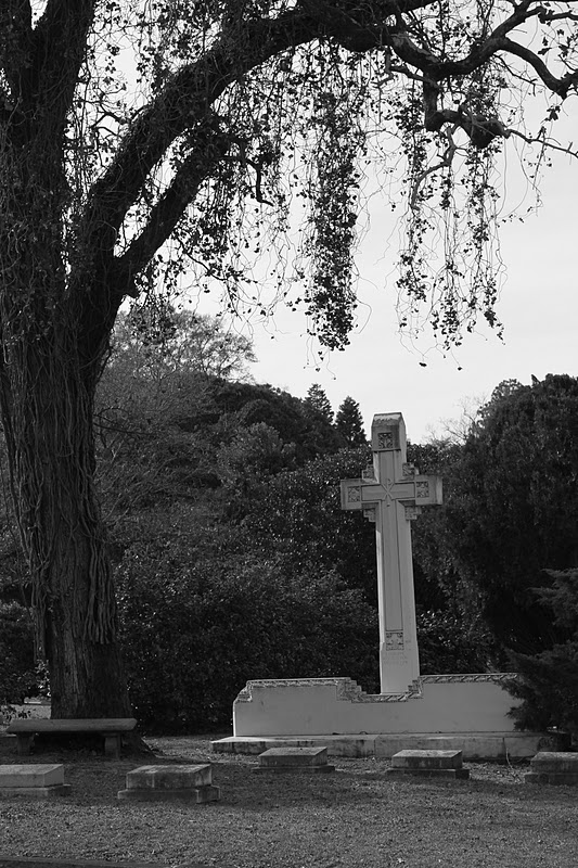 Where's Trevor Summerville Cemetery Augusta,