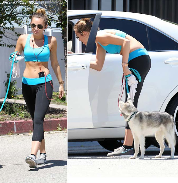 [FOTOS] Miley Cyrus de calça leggings e top , deixando barriga de fora passeando com seu cão em Los Angeles - 16 de Abril de 2012