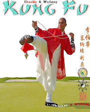 Shaolin en España Kung Fu Madrid - Infantil y Adultos :Información 626 992 139