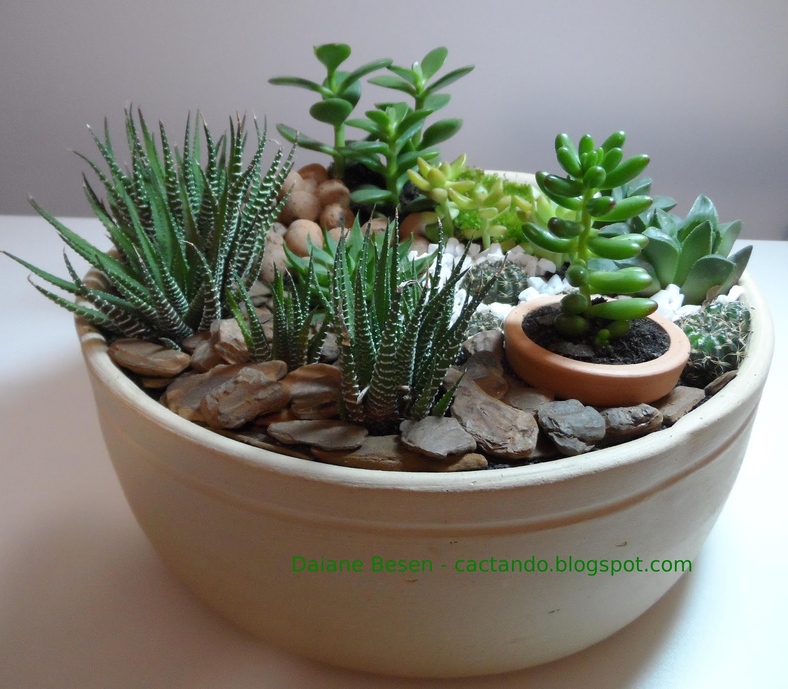 Demorou mas fiz um mini jardim em um vaso de cerâmica! Não podia Demorou mas fiz um mini jardim em um vaso de cerâmica! Não podia