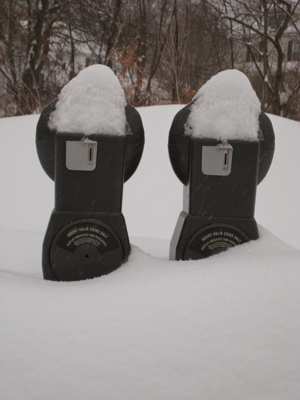 Maynard Life Outdoors and Hidden History of Maynard SNOW a Record