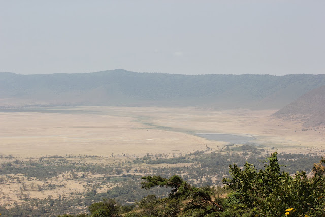 15 días de Safari y playa - Blogs de Tanzania - 1 de agosto de 2012. Lago Manyara y entrada al Serengeti. (4)
