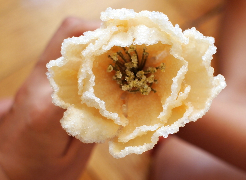 Make Borax Crystal Flowers Pink Stripey Socks