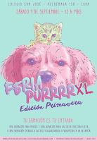 ¡Llega la Feria Purrrr XL - Edición primavera!