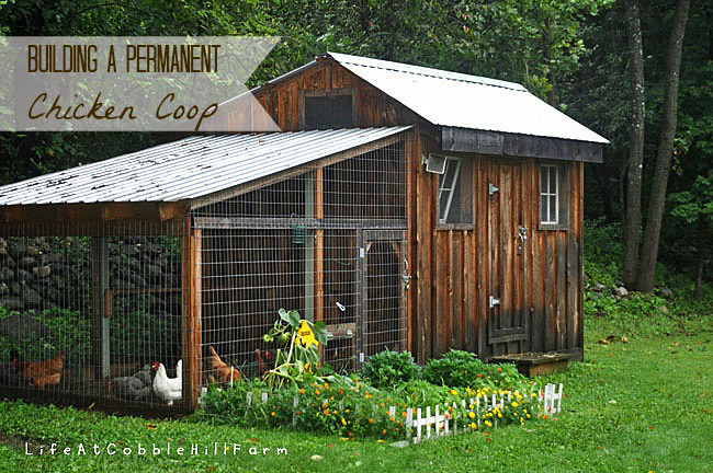 Building a Permanent Chicken Coop | Lovely Greens