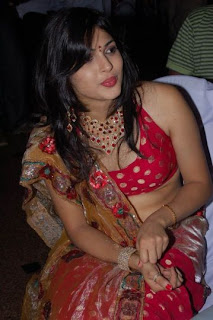 South indian actress Nicole navel show in red saree and red Hot top2