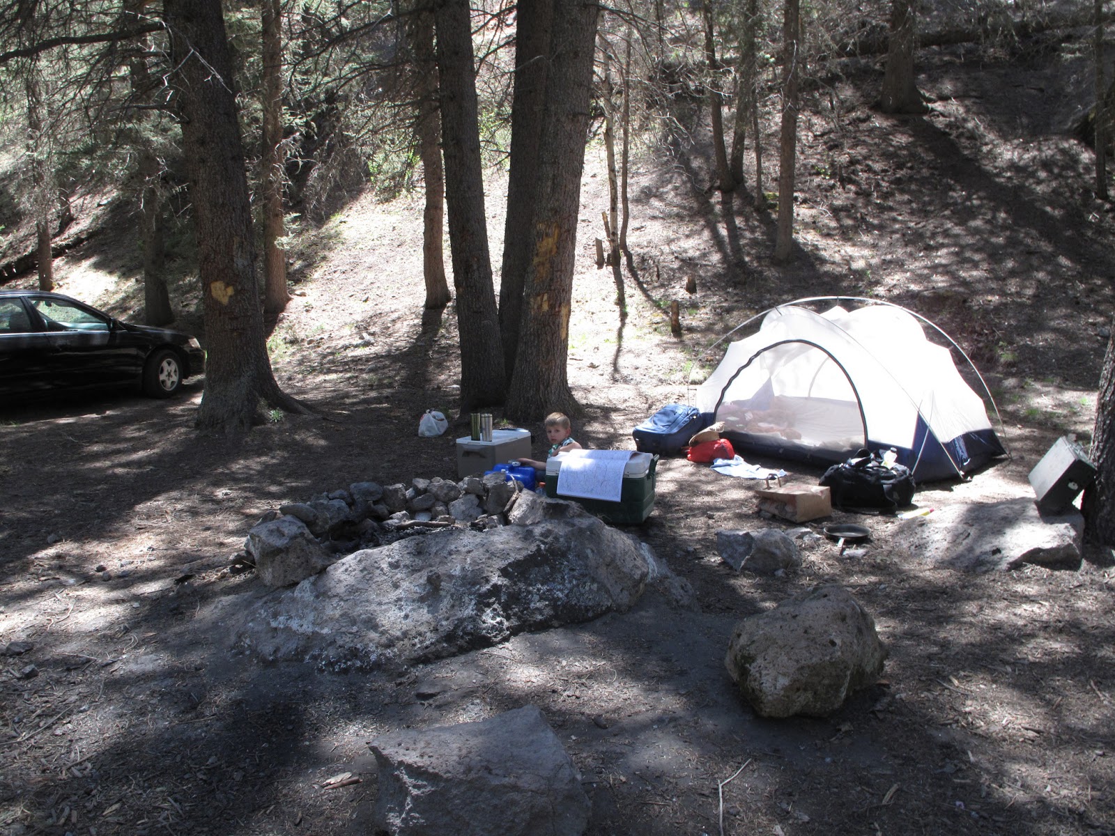 TMonkey Camping near Valles Caldera