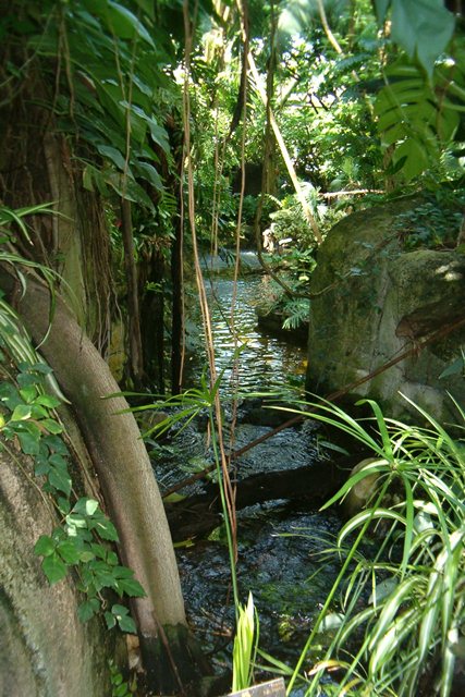 HPIM2045.JPG?width=300