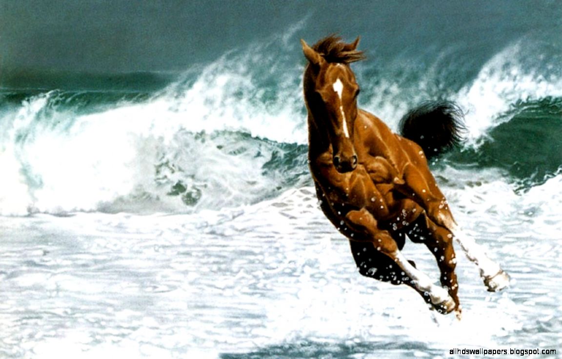 Beautiful Horse Running in Ocean Beautiful Horse Running in Ocean