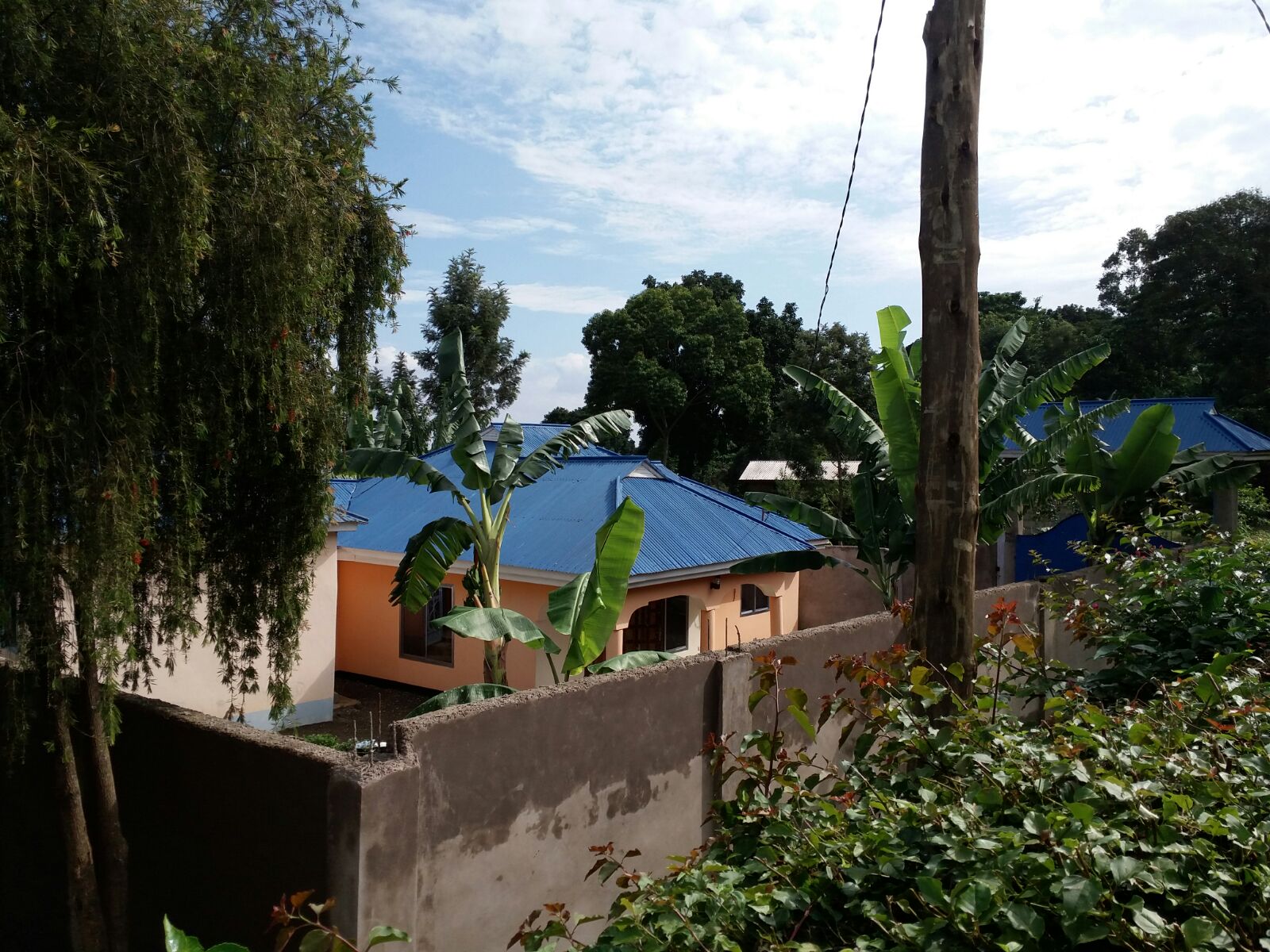 Rent house in Tanzania Arusha rent houses, Houses for sale,vacation