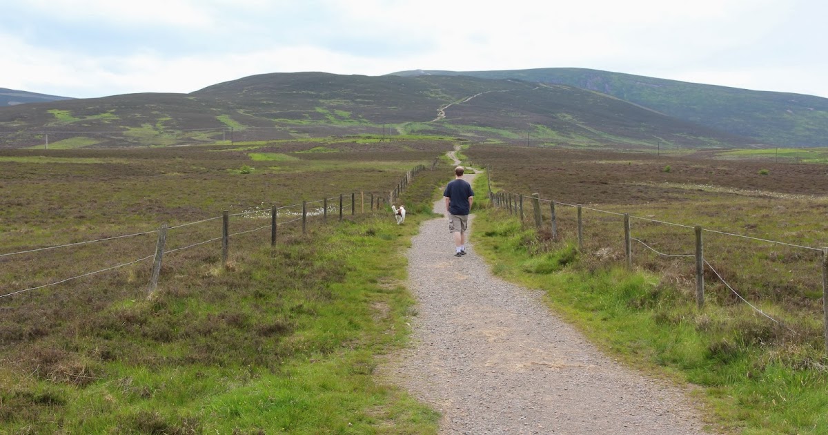 Neil's Hillwalking Exploits Tinto Hill