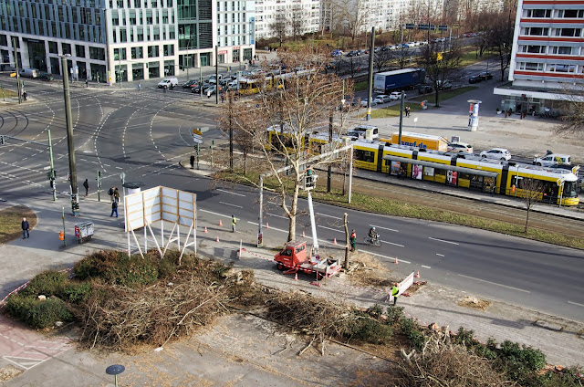 Baustelle Baumfällarbeiten, Otto-Braun-Straße / Mollstraße, 10178 Berlin, 13.02.2014