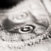 Baby Details 7