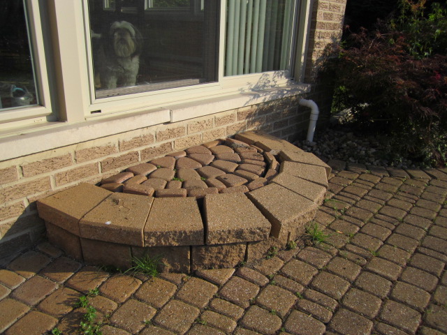 pavers brick paver curved patio step ground level stones near
