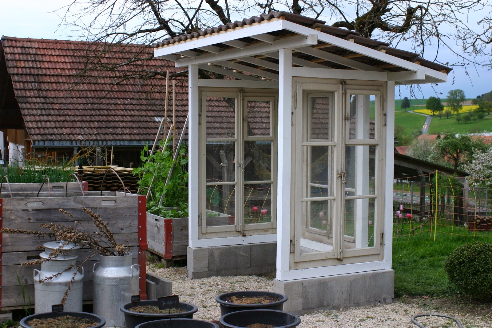 tomatenhaus aus alten fenstern
