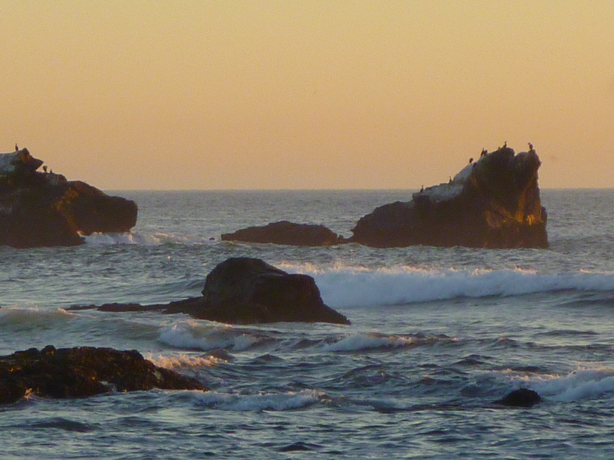 Trailing Ahead Pillar Point Harbor's West Shoreline Trail to Maverick