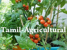 Tamil-Agricultural