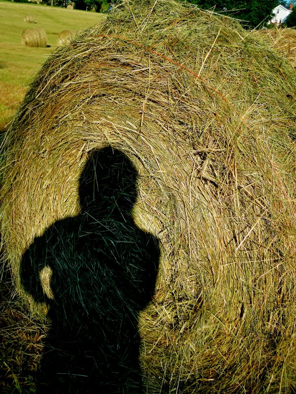 Enchanted Blue Hay Bale the documentary