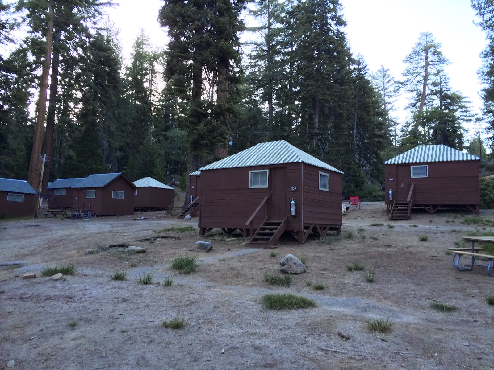 The Joni Journey Father S Weekend At Sequoia Part 2 Our Cabin