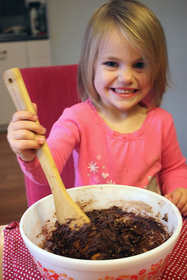 MooMama Scratch & Grain AllNatural Cookie Kits with Organic Ingredients