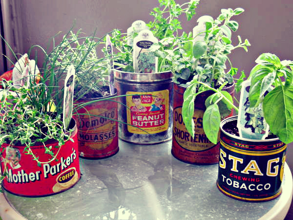 Pin by Susan Gowan on Kitchen Stuff | Planting herbs, Italian garden