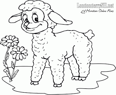 Line Drawing :: Clip Art :: Lamb