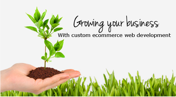 Growing Business with Custom Ecommerce Web Development