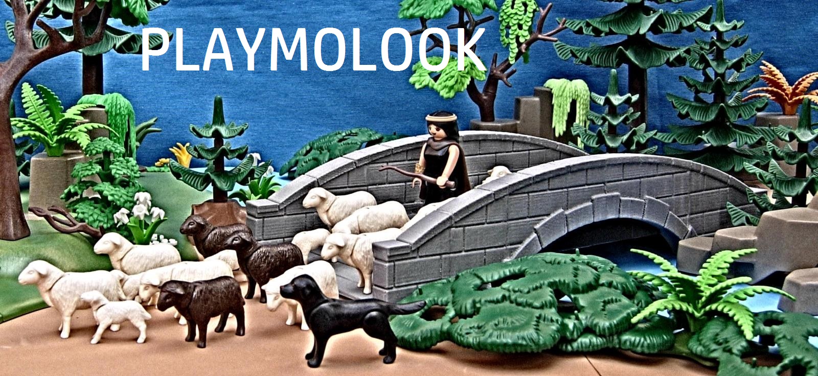 PLAYMOLOOK