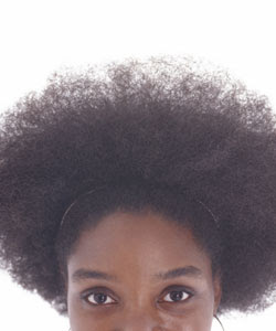 Search Results For Low Porosity Curlynikki Natural Hair Care