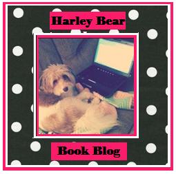  Harley Bear Book Blog
