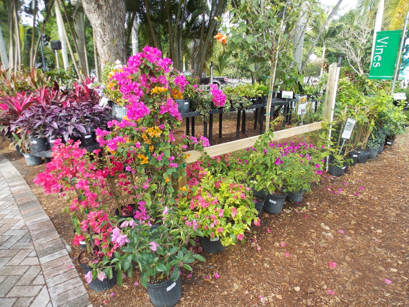 The Schramm Journey: Edison and Ford Winter Estates