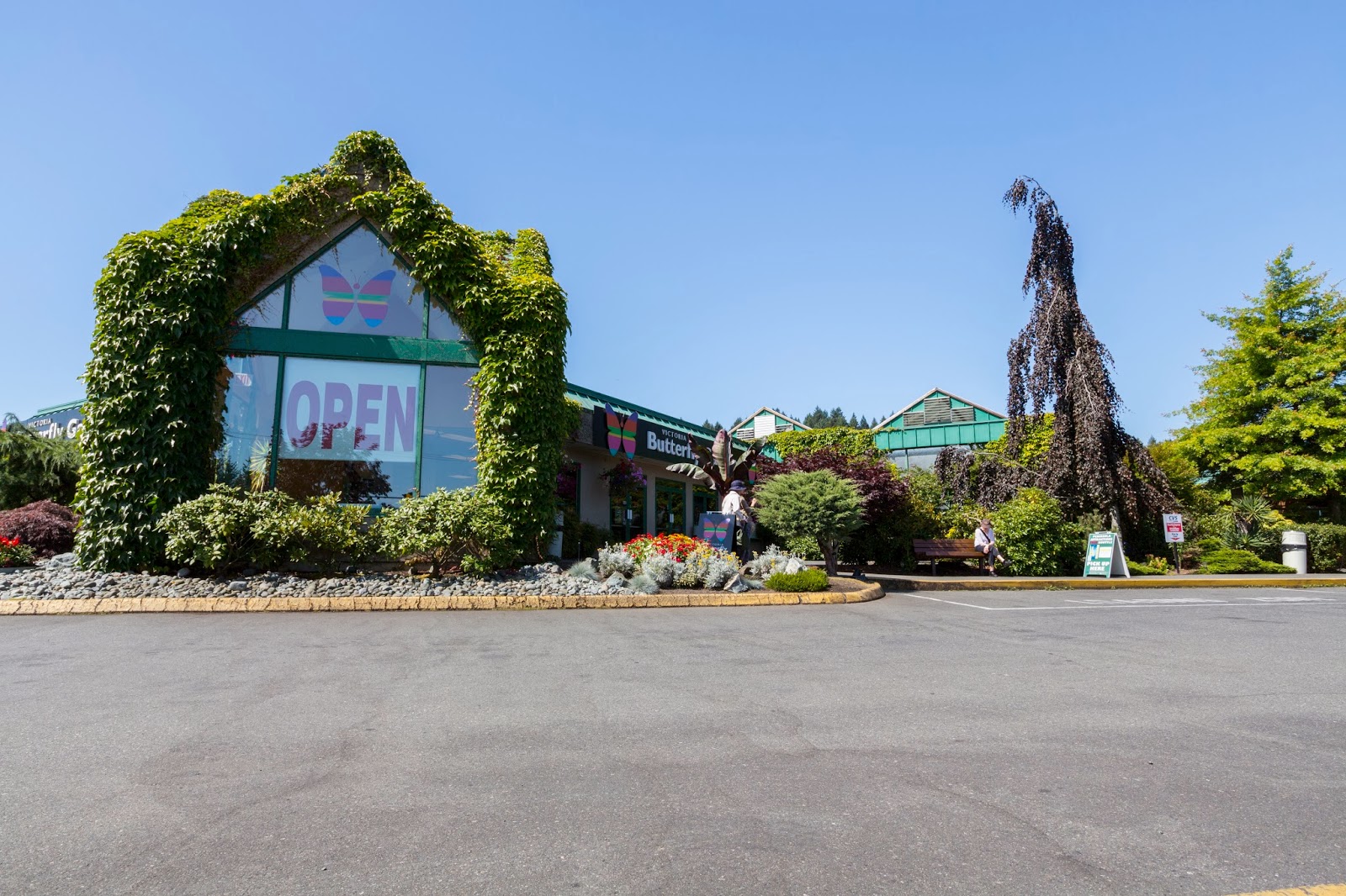 Naturetastic Blog Victoria Butterfly Gardens (Part 1) Central Saanich, BC