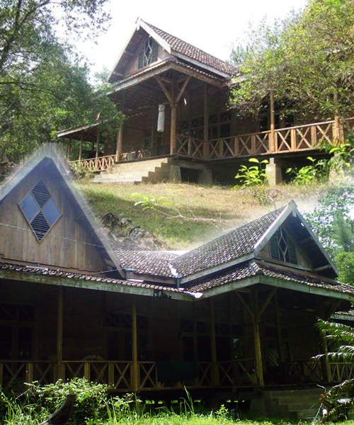 Mengenal Museum Kayu Milik UGM di Playen Gunungkidul Museum Kayu Milik UGM