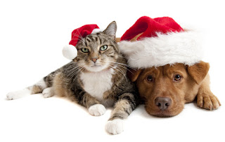 gifts for pets