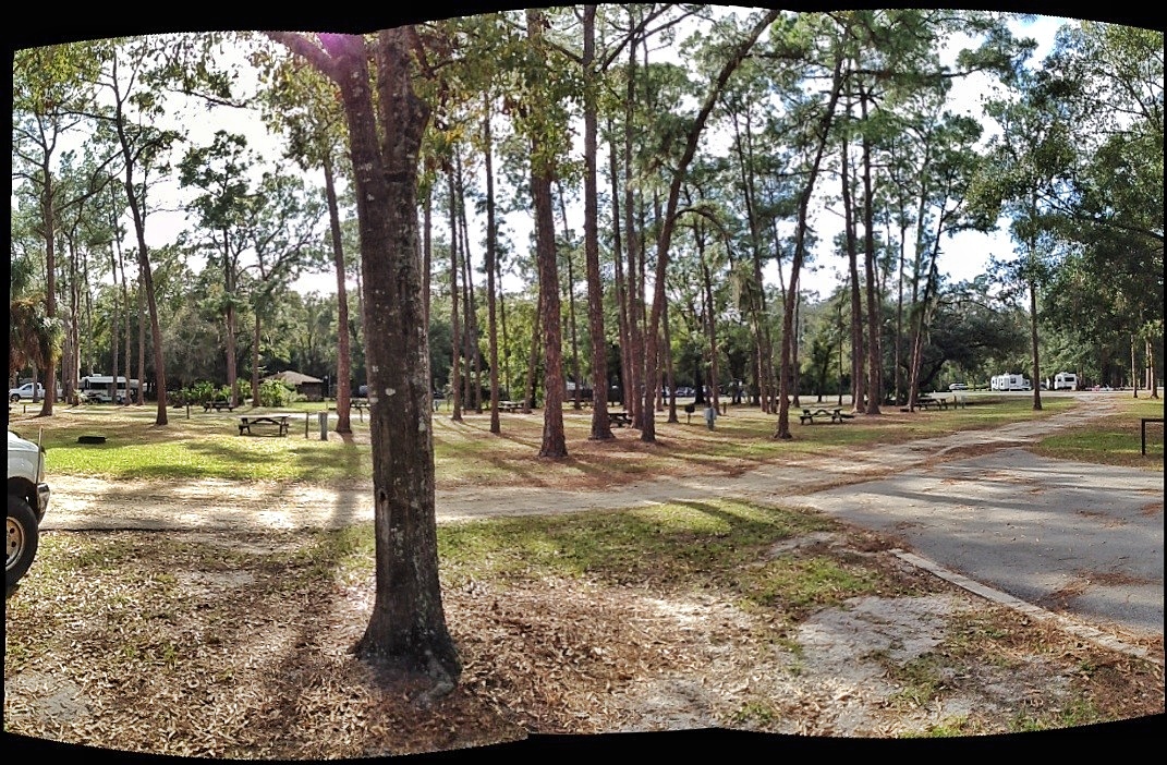 Keeping Up With Sandy Day 68 Highlands Hammock State Park, FL