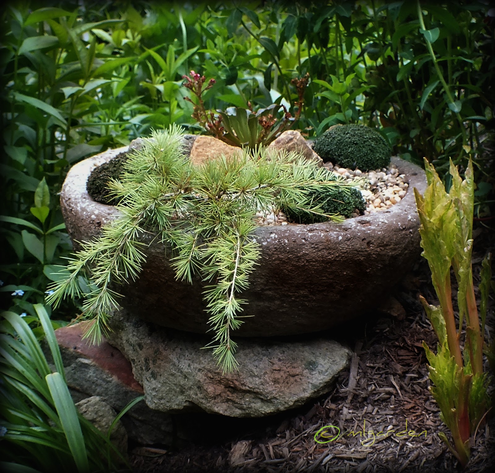 Garden Design Ideas: The Layered Garden