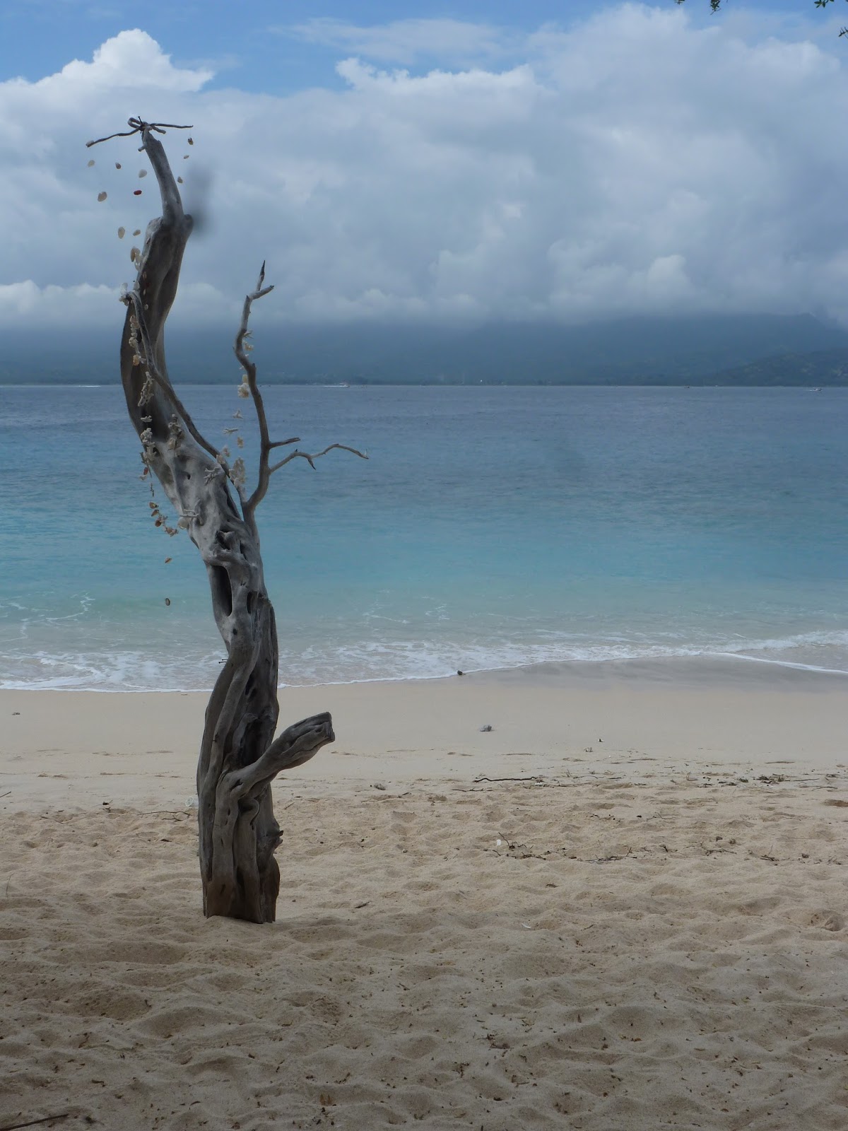 Unsere Weltreise Marz 2006