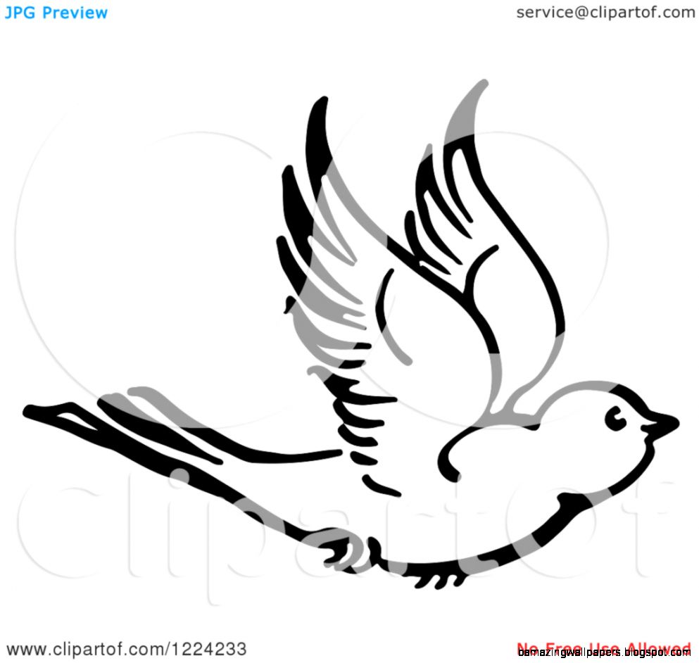 Clipart of a Black and White Flying Bird Royalty Free Vector Clipart of a Black and White Flying Bird Royalty Free Vector