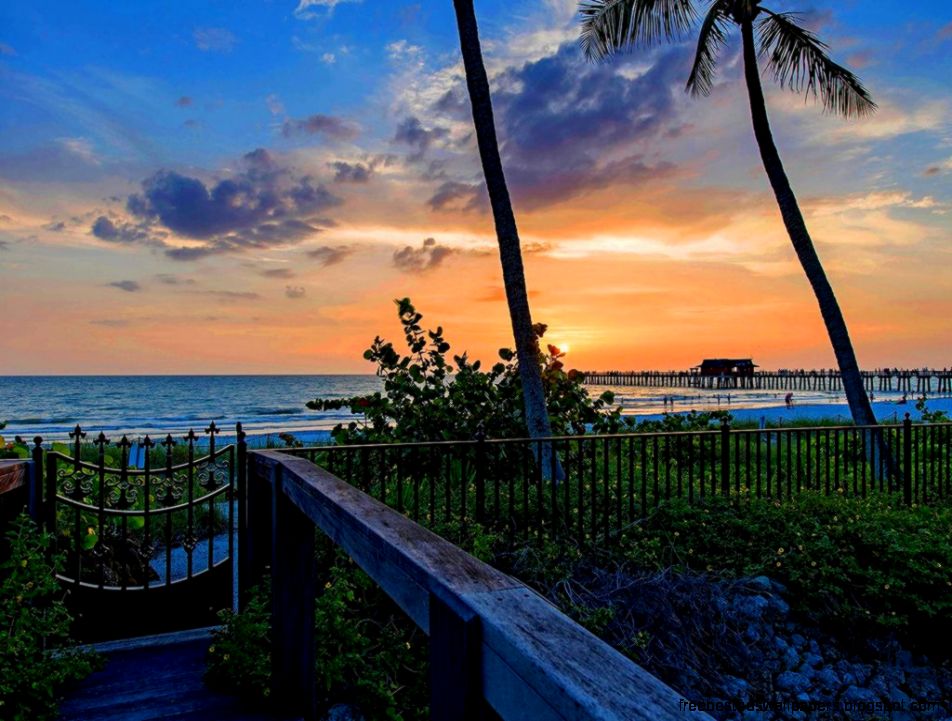 Carol Wood and Claire McMahon Team Bonita Springs Real Estate Carol Wood and Claire McMahon Team Bonita Springs Real Estate