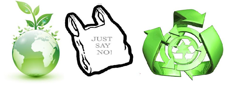 Advantages of banning plastic bags essay picture