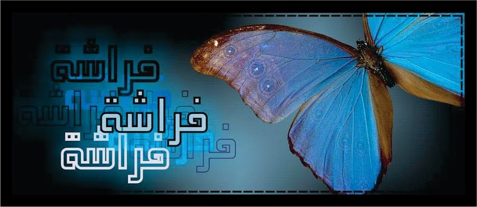 فراشة