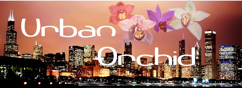 Urban Orchid Blog