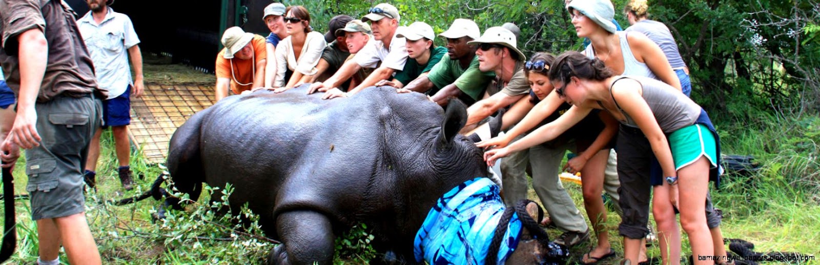 Volunteer abroad and travel around the world GVI USA Volunteer abroad and travel around the world GVI USA