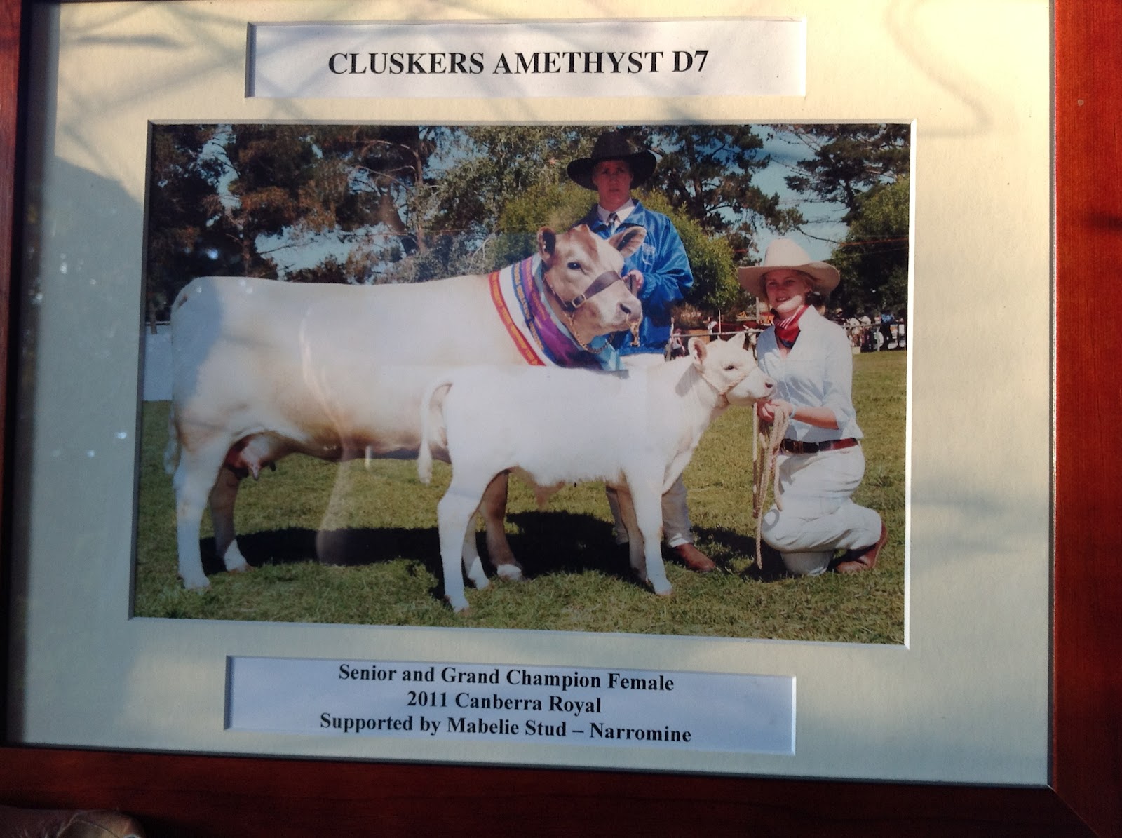 Weethalle Stud Square Meaters?