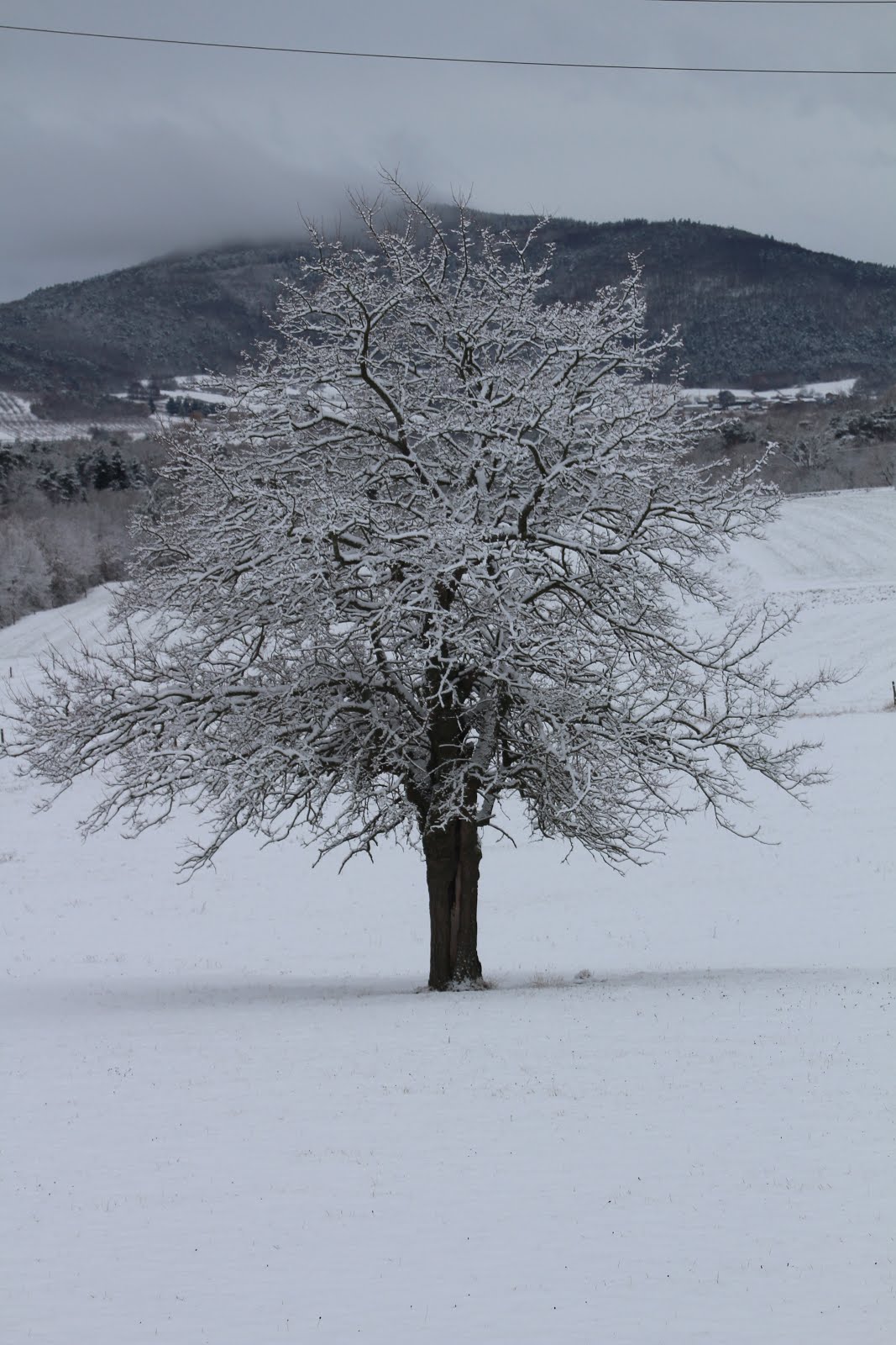 La neige ce 18/12/2017.