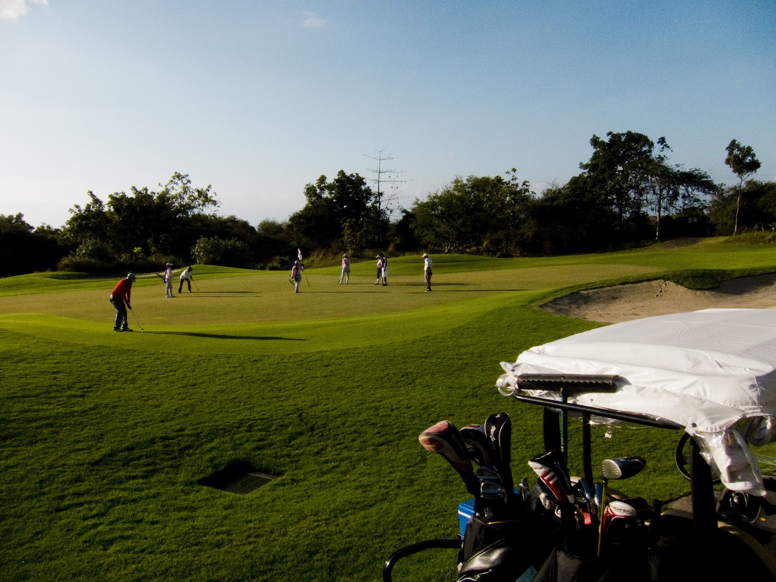 Main Golf