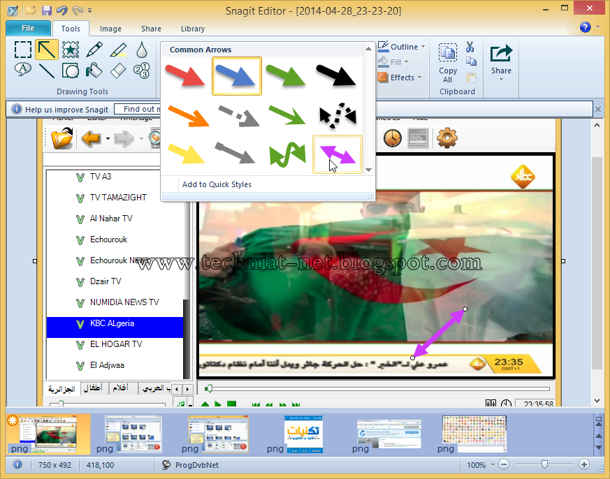 snagit 11