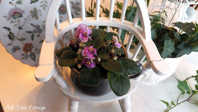 download gardening indoors download gardening indoors