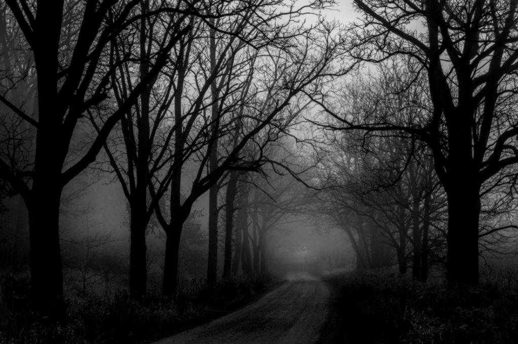 A foggy road Jennifer McCallum A foggy road Jennifer McCallum